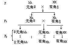 從屬遺傳