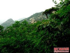 青龍山風景區[湖北黃石青龍山風景區]