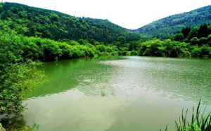 閬中盤龍山國家森林公園