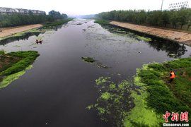 賈魯河