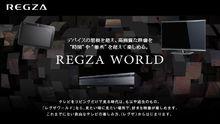 REGZA