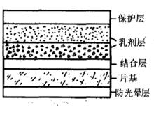 黑白感光片結構