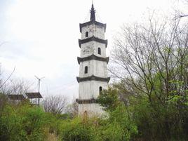 塔山村[浙江省紹興市新昌縣七星街道塔山村]