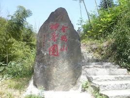 金雞山村[安徽省六安市霍山縣大化坪鎮下轄村]