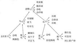 知識表征