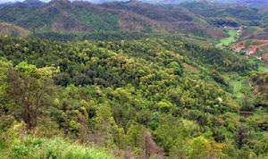 寶山村[廣東省梅州市興寧市徑南鎮寶山村]