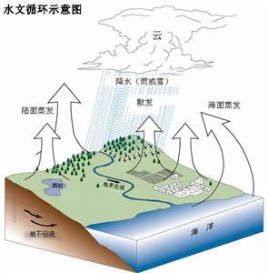 水文循環