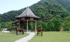 靈溪河森林旅遊渡假公園