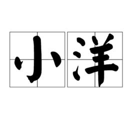 小洋[漢語詞語]