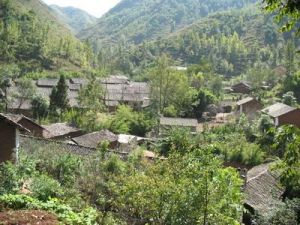 長箐村[雲南曲靖會澤縣雨碌鄉下轄村]