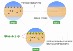 甲醛淨作用機理