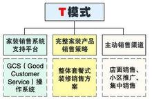 銷售T模式的內容