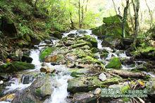 森林 瀑布 風景 山水 溪水 小河 山峰 雪景