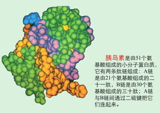 伏格列波糖