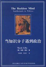 當知識分子遇到政治[2005年新星出版社出版圖書]