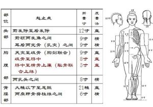 骨度分寸法