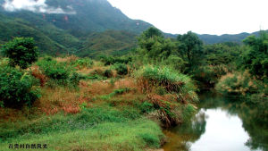 海豐縣召貢村