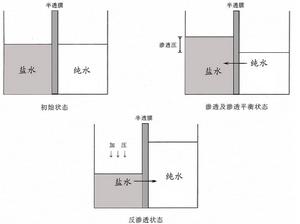 現光反滲透原理圖