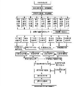 揚子江藥業集團銷售模式