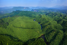 沐川竹海