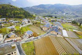 海涯村[上海市金山區漕涇鎮下轄村]