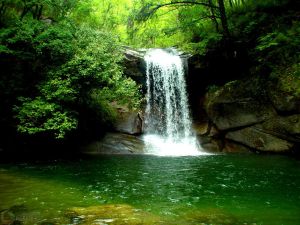 黑龍山國家森林公園