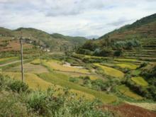 灰窯村[雲南景東彝族自治縣錦屏鎮灰窯村]