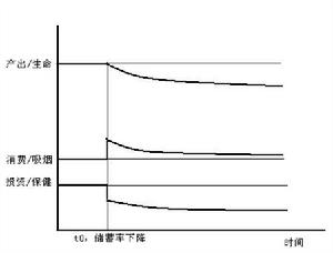 資本存量