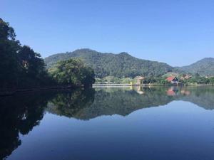 海南尖峰嶺國家森林公園