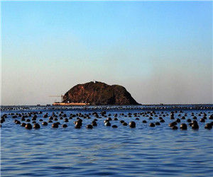 廟島海洋自然保護區 