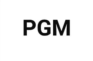 PGM[API庫]