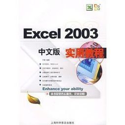 Excel2003教程