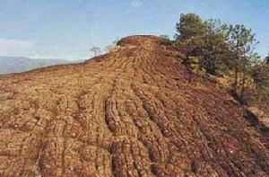 麗江老君山千龜山