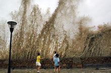 颱風聖帕撲向人海