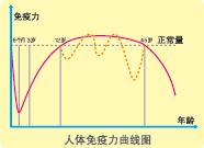 金盾牛初乳粉