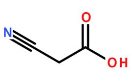 氰乙酸