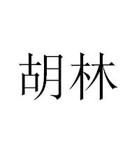 胡林[深圳中浩股份有限公司總裁]