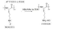 ε-聚賴氨酸