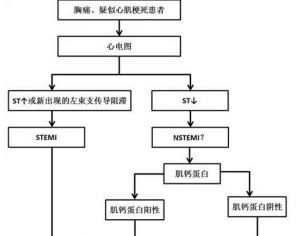 ACS的分類和命名