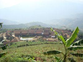 東瓜林自然村[雲南省屏邊縣白河鄉下轄村]