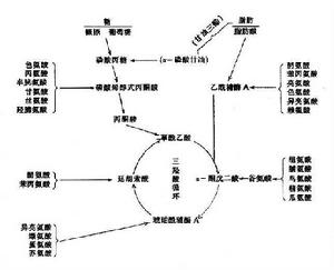 生糖胺基酸