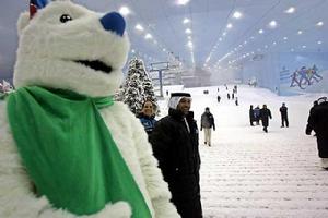 （圖）金廠滑雪場