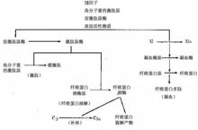 蛋白水解酶