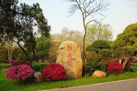 牡丹園[山東省菏澤市公園]