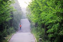 上窯森林公園