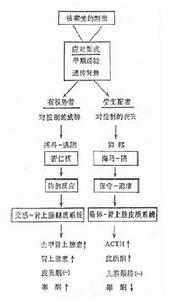 心理應激的神經內分泌後果是因人而異