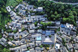 居樂村[雲南省楚雄南華縣龍川鎮雲台山村委會居樂村]