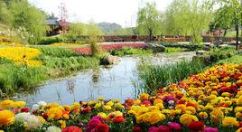 大連英歌石植物園