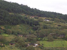 大水塘自然村[雲南省文山丘北縣官寨鄉蚌郎村大水塘自然村]