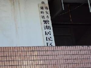 湖嶺鎮繁華居民區